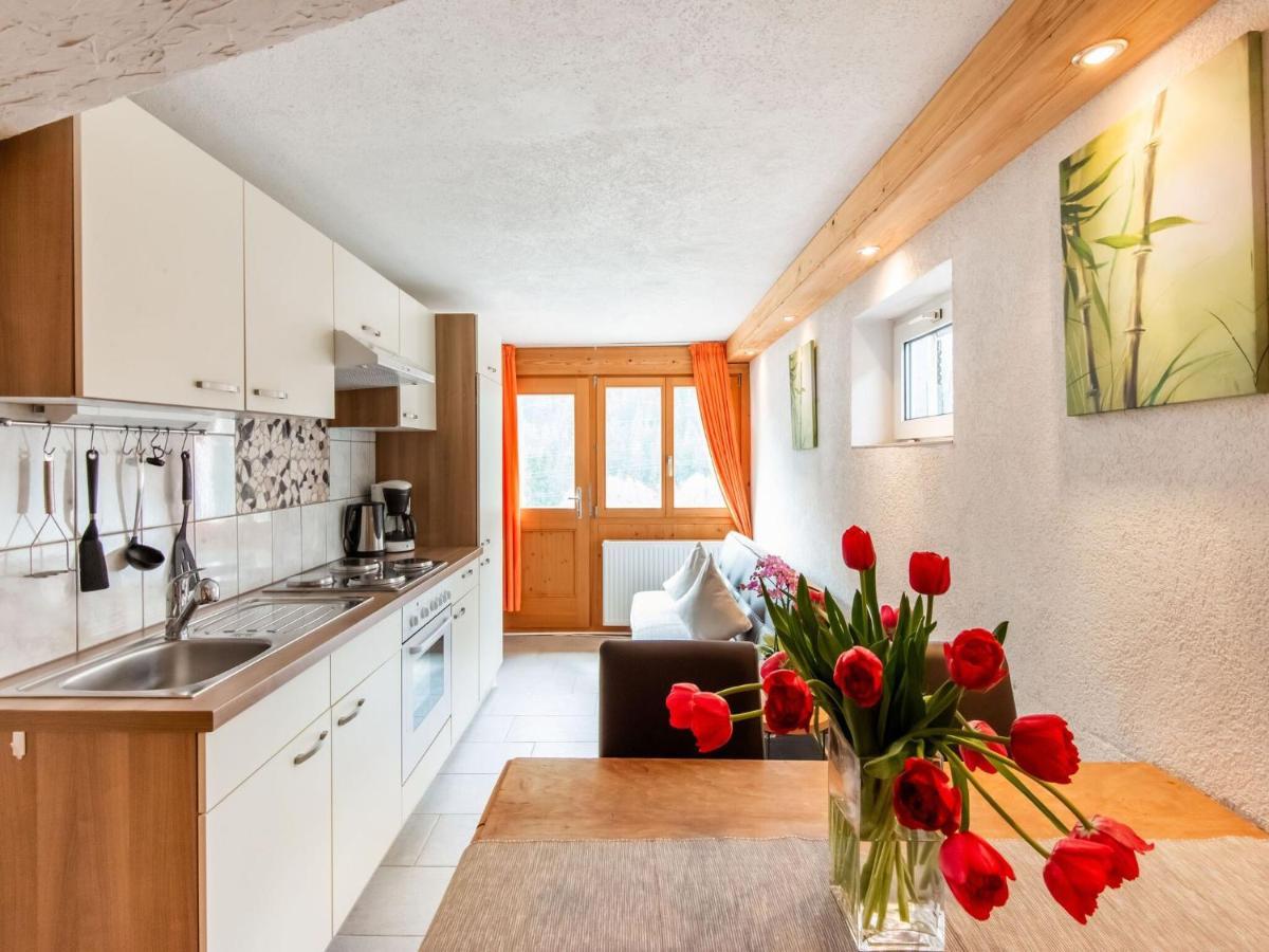 Apartment In The Silvretta-Montafon Ski Area Sankt Gallenkirch Exterior foto